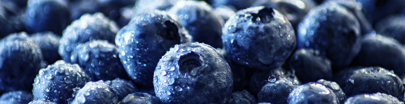 blueberry